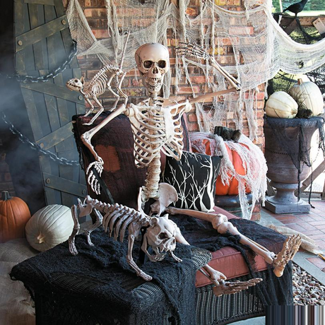5 Ft. Life-Size Posable Skeleton Halloween Decoration