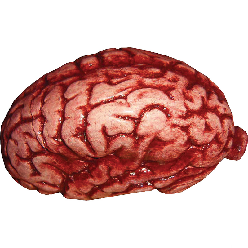 Realistic Bloody Brain Prop for Halloween Decorations Zombie Costume Accessories