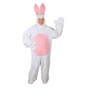 Child Bunny Suit with Hood
