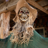 Hanging Animated Skeleton Witch Halloween Decoration 66"