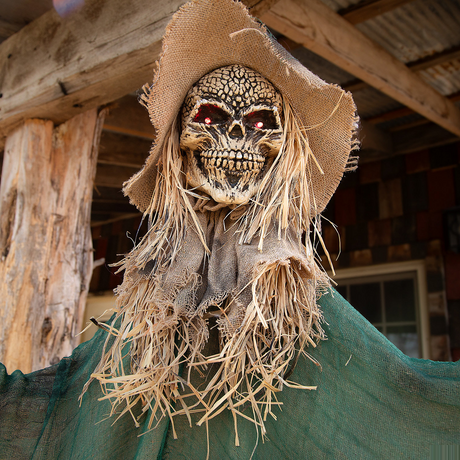 Hanging Animated Skeleton Witch Halloween Decoration 66"
