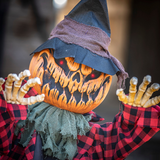 Groundbreaker Animated Orange Pumpkin Man Halloween Decoration, 2 Ft.
