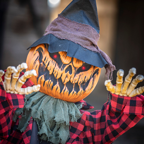 Groundbreaker Animated Orange Pumpkin Man Halloween Decoration, 2 Ft.