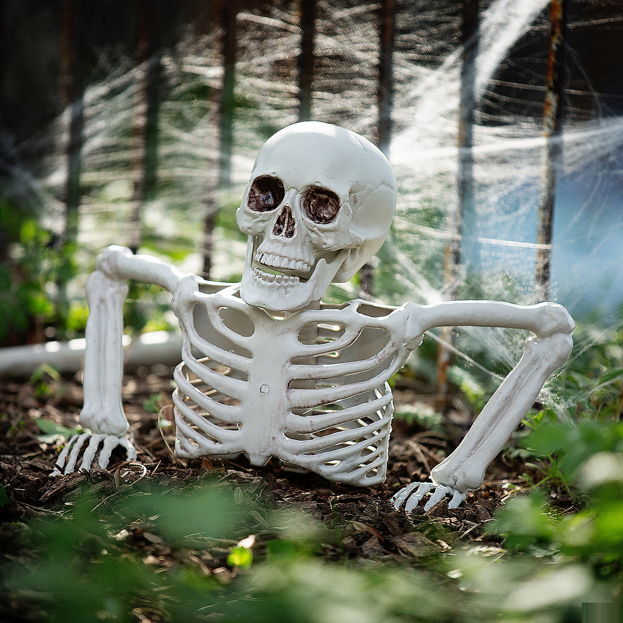 Decorative Tabletop White Plastic Half Skeleton for Spooky Halloween Party Events and Haunted House Displays