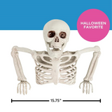 Tabletop White Plastic Half Skeleton Halloween Decoration, 15 3/4" x 10 3/4"