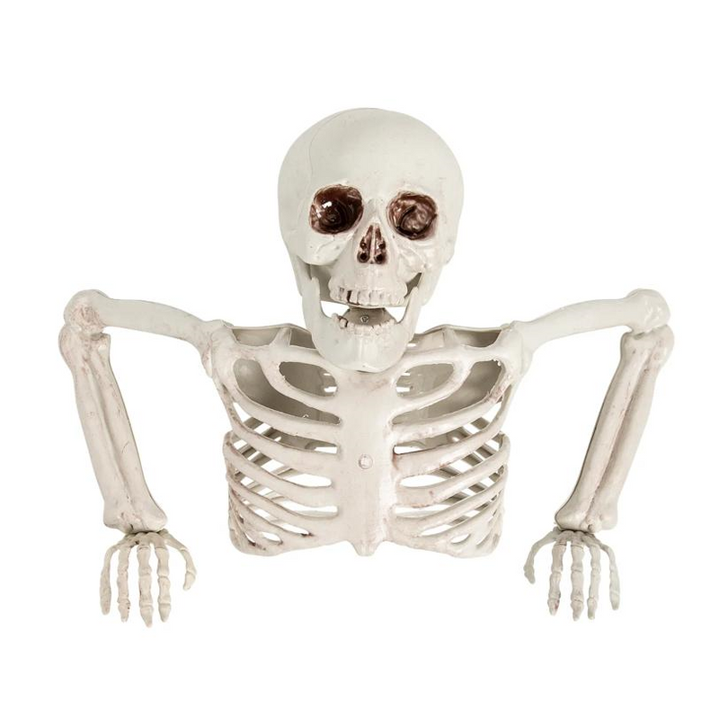 Tabletop White Plastic Half Skeleton Halloween Decoration, 15 3/4" x 10 3/4"