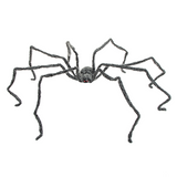FURRY SPIDER