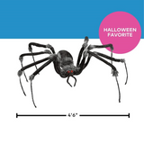 Poseable Hairy Joints Black Wolf Spider Halloween Decoration 55"