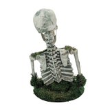 Animated Mossy Skeleton Tabletop Halloween Decoration – 9 3/4" x 14 3/4"