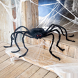 Black Spider with Light-Up Eyes Halloween Decoration 36 1/2 x 61 3/4