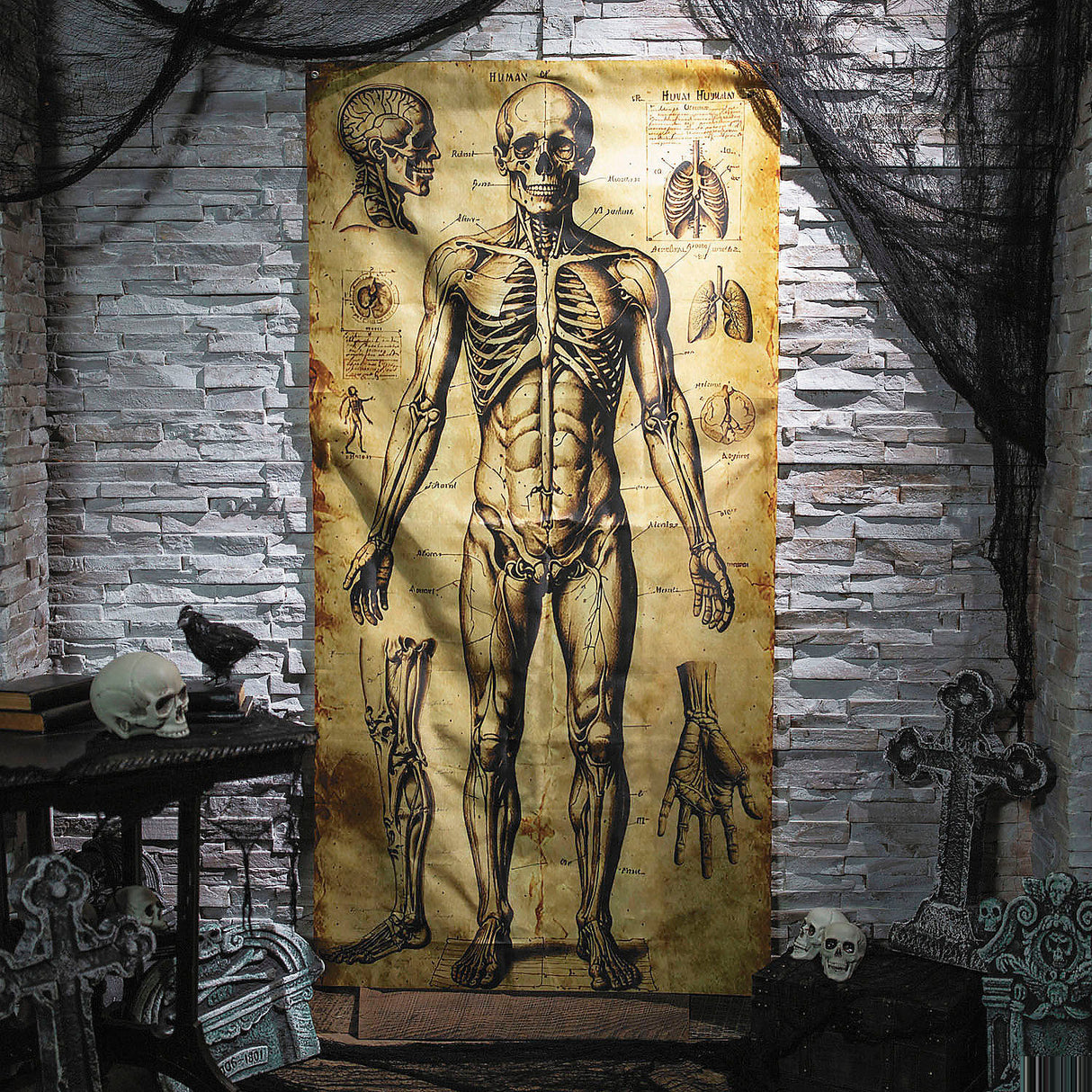 6 Ft 6 3/4 Inch Human Anatomy Drawings Door Curtain for Halloween Party Decorations and Haunted House Setup