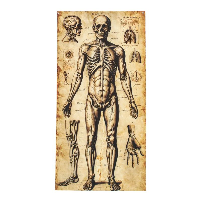 6 Ft. 6 3/4" Human Anatomy Drawings Door Curtain Halloween Decoration