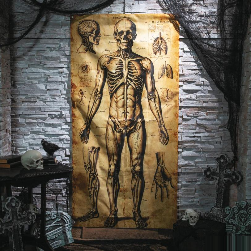 6 Ft. 6 3/4" Human Anatomy Drawings Door Curtain Halloween Decoration