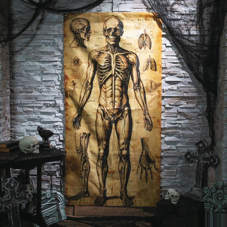 6 Ft. 6 3/4" Human Anatomy Drawings Door Curtain Halloween Decoration