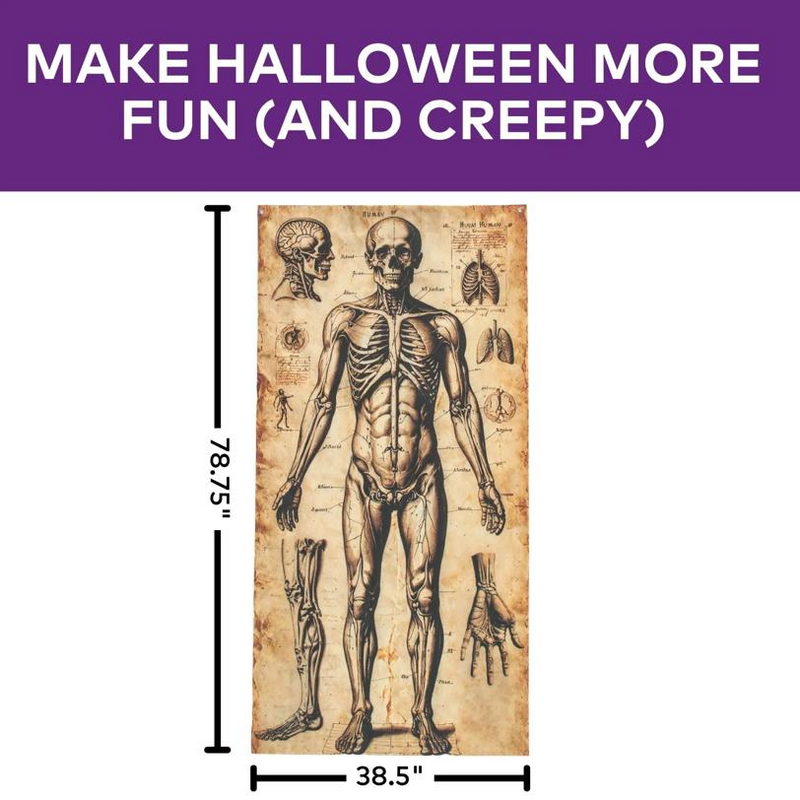 6 Ft. 6 3/4" Human Anatomy Drawings Door Curtain Halloween Decoration