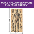 6 Ft. 6 3/4" Human Anatomy Drawings Door Curtain Halloween Decoration