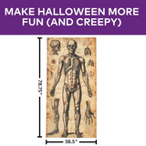 6 Ft. 6 3/4" Human Anatomy Drawings Door Curtain Halloween Decoration