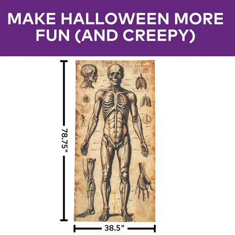 6 Ft. 6 3/4" Human Anatomy Drawings Door Curtain Halloween Decoration
