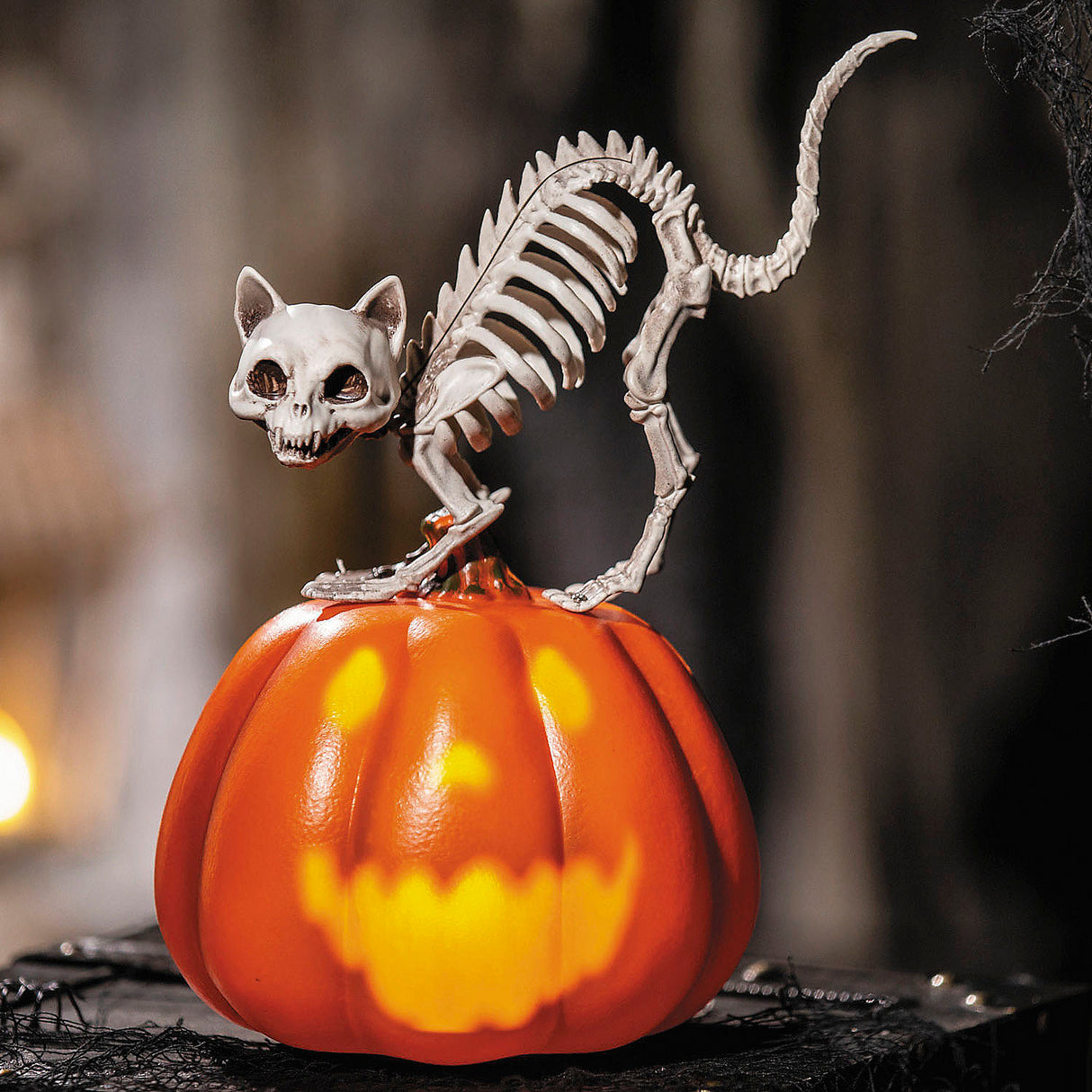Animated Pumpkin with Skeleton Cat Tabletop Decoration for Halloween Parties and Festive Gatherings