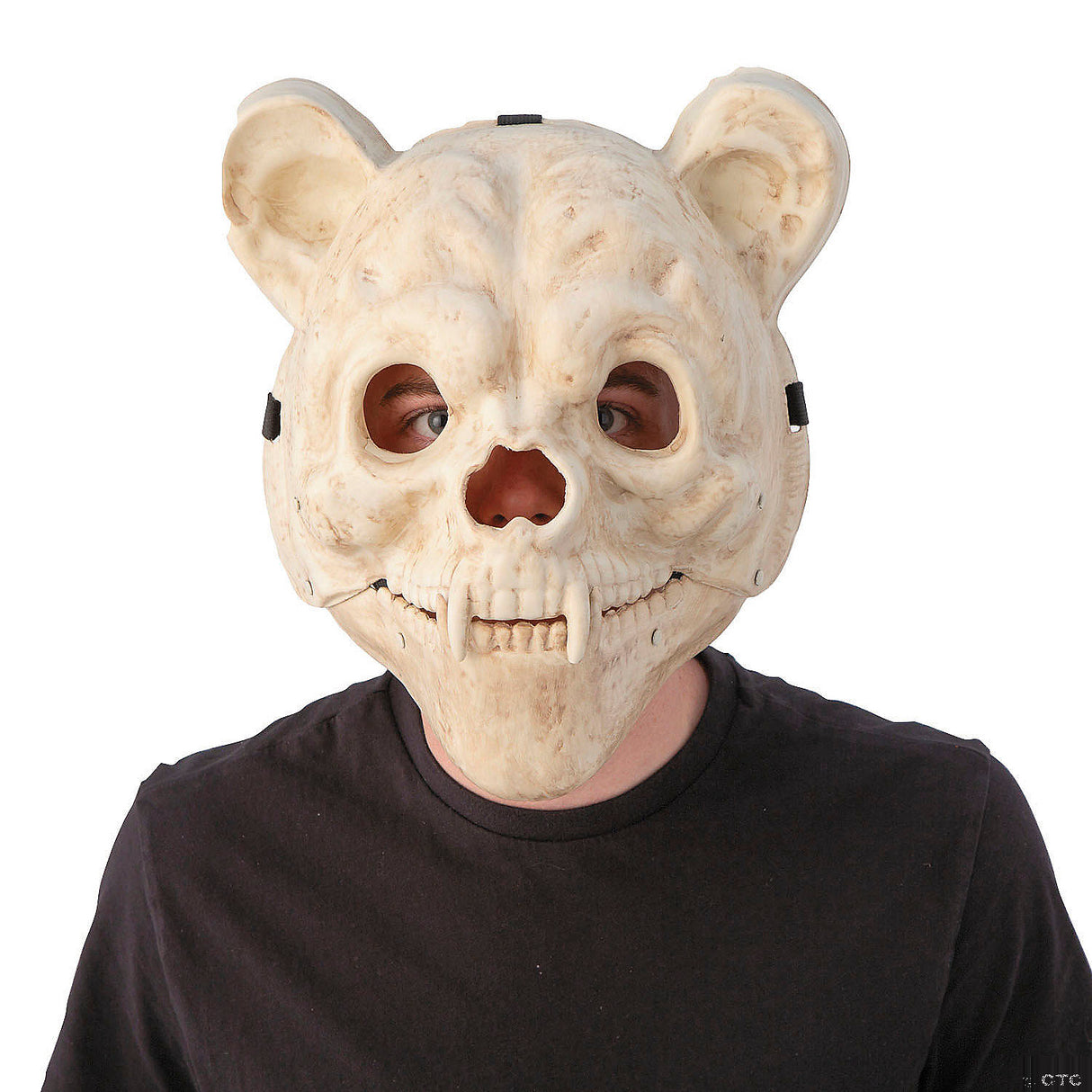 Blister Skeleton Bear Full-Face Plastic Mask for DIY Costumes Halloween Parties and Collecting