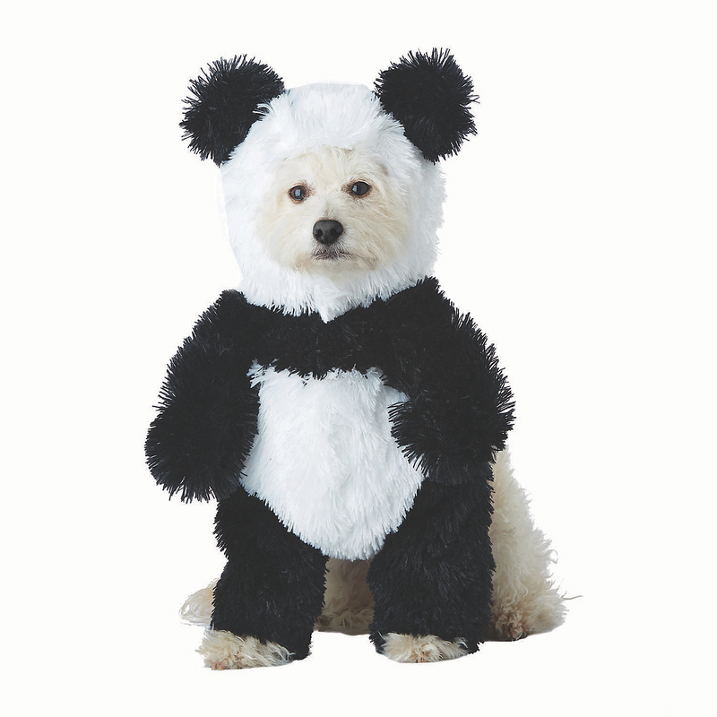 Panda Pouch Pet Costume