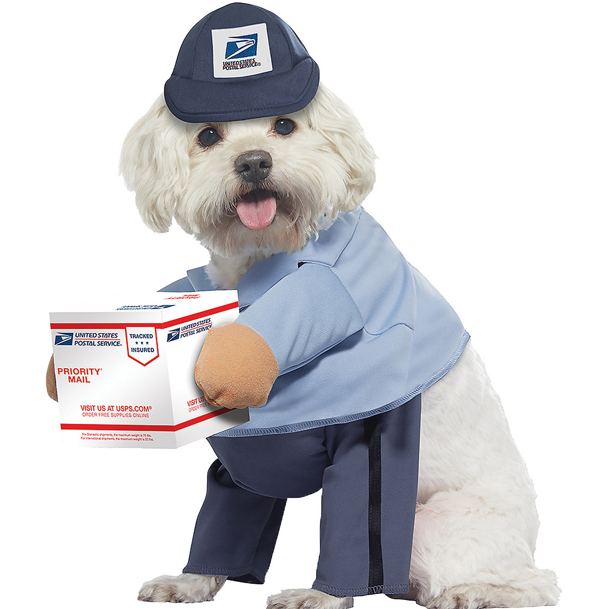 Adorable US Mail Carrier Dog Costume for Fun Pet Dress Up Halloween and Parties