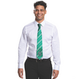 SLYTHERIN TIE ADULT