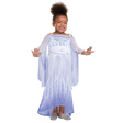 Kid's Frozen Elsa Snow Queen Adaptive Costume