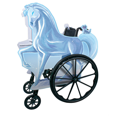 Ice Nokk Adaptive Wheelchair Cover