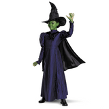 Toddler Deluxe Wicked Elphaba Purple Dress Costume