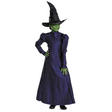 Toddler Deluxe Wicked Elphaba Purple Dress Costume