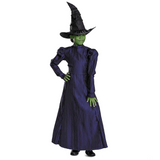 Toddler Deluxe Wicked Elphaba Purple Dress Costume