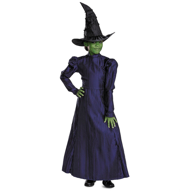 Toddler Deluxe Wicked Elphaba Purple Dress Costume