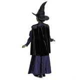 Toddler Deluxe Wicked Elphaba Purple Dress Costume