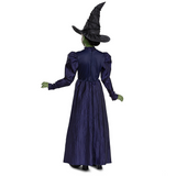 Elphaba Deluxe Costume