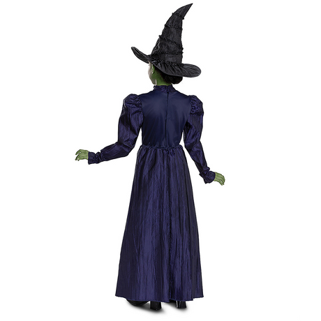 Elphaba Deluxe Costume