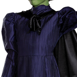 Elphaba Deluxe Costume