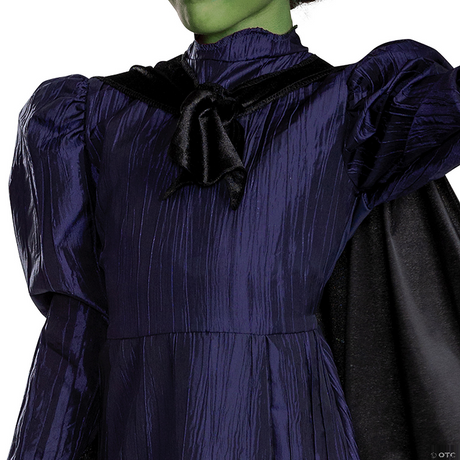 Elphaba Deluxe Costume