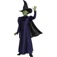 Elphaba Deluxe Costume