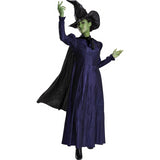 Elphaba Deluxe Adult Costume for Halloween Parties Themed Events and Witch Celebrations