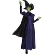Elphaba Deluxe Adult Costume