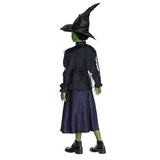 Kids Classic Wicked Elphaba Black & Purple Dress Costume