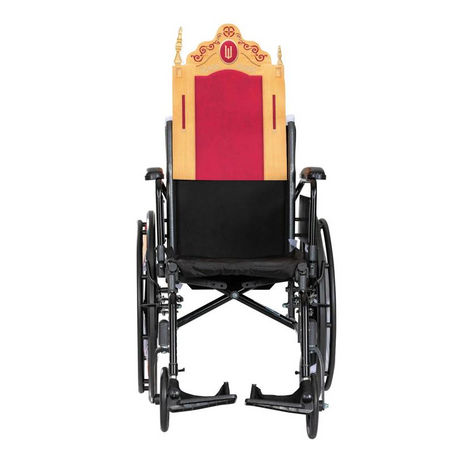 Kids Adaptive Wicked Nessa Rose Wheelchair Cover Costume Accessory