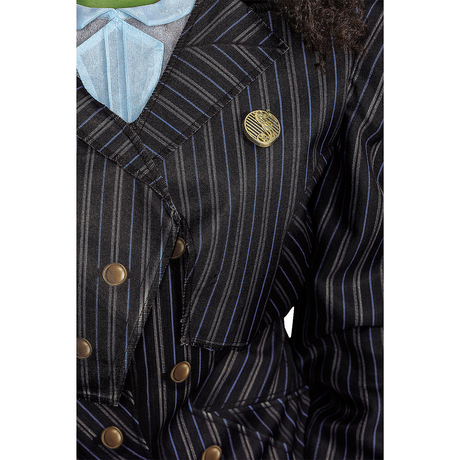 Adults Deluxe Wicked Elphaba Shiz University Dress Costume