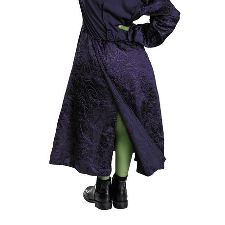 Kids Adaptive Wicked Elphaba Dress Costume