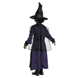 Kids Adaptive Wicked Elphaba Dress Costume
