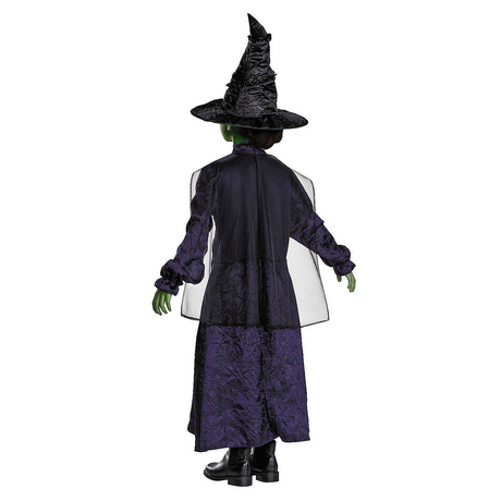 Kids Adaptive Wicked Elphaba Dress Costume