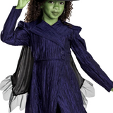 Kids Classic Wicked: For Good Elphaba Dress Costume