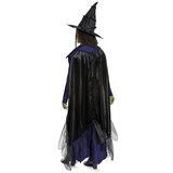 Adults Deluxe Wicked: For Good Elphaba Costume