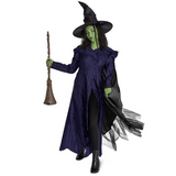 Adults Deluxe Wicked: For Good Elphaba Costume